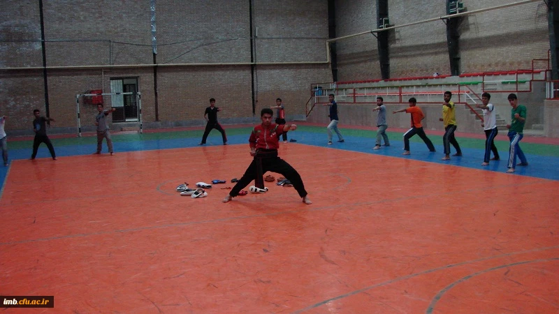 آموزش هنرهای رزمی