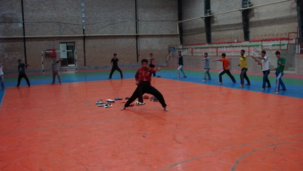 هنرهای رزمی