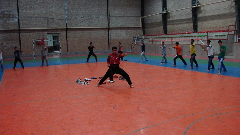 هنرهای رزمی