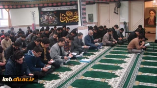 برگزاری زیارت عاشورا در ایام محرم