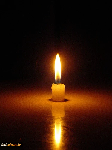 "کل نفس ذائقه الموت " 2