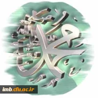 میلاد پیامبر رحمت (ص) 2