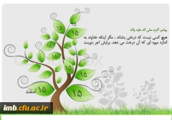 روز درختکاری گرامی باد . 2