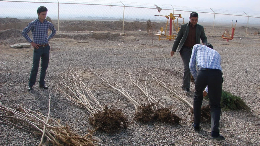 کاشت نهال توسط دانشجویان ، کارکنان و اساتید پردیس امام محمد باقر (ع)  2