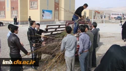 کاشت نهال توسط دانشجویان ، کارکنان و اساتید پردیس امام محمد باقر (ع) 2