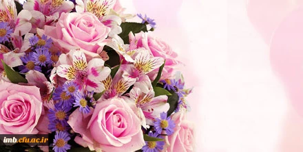 حاج ولی الله دانش 2