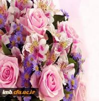 حاج ولی الله دانش 2