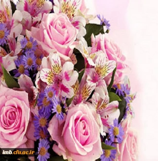 حاج ولی الله دانش بنیانگذار نخستین دبستان در بجنورد