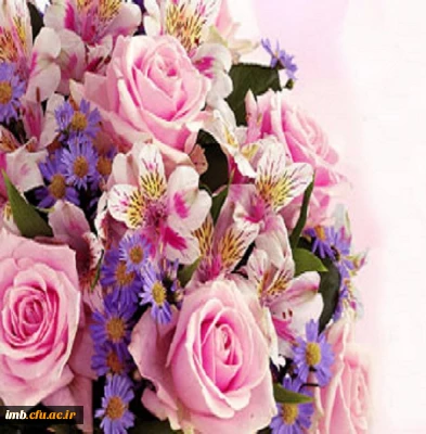 حاج ولی الله دانش بنیانگذار نخستین دبستان در بجنورد