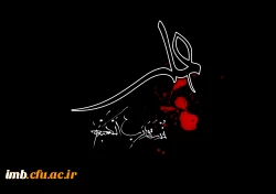 شهادت امام علی (ع)  2