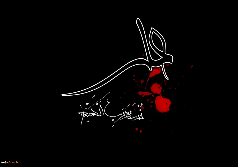 شهادت امام علی (ع)  2