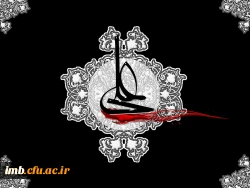 شهادت امام علی (ع) 2