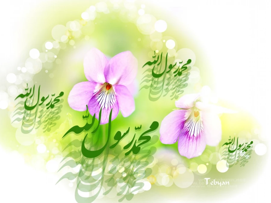 میلاد پیامبر(ص) 2