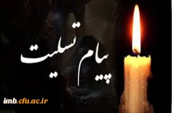 تسیت به مناسبت حوادث دلخراش حج امسال  2