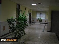 مدیریت امور پردیس های استان 11