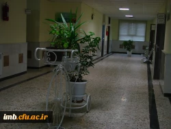 مدیریت امور پردیس های استان 12