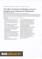 The effect of amount of Splendor on hero s strengths and weaknesses in Shahnameh  2