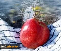 اولین جلسه گردهمایی و هم اندیشی دانشجومعلمان شاهد و ایثارگر دانشگاه فرهنگیان خراسان شمالی 2