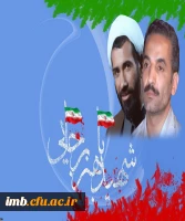 135534_1003039652_3600_2250