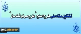 ستاد ملی طرح اصلح تشکیل شد