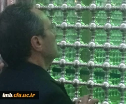 در آستانه بیست و هفتمین سالگرد رحلت حضرت امام خمینی (ره) انجام شد:

حضور دانشگاهیان در حرم مطهر و تجدید بیعت با آرمان های امام راحل 2