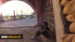 نتایج جشنواره علمی ادبی هفته دفاع مقدس 2