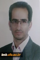 سید حسن علوی