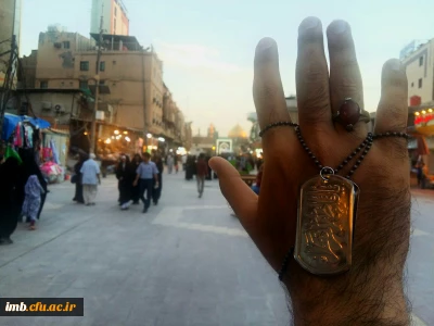 دل نوشته  دانشجو معلم از سفر  کربلا