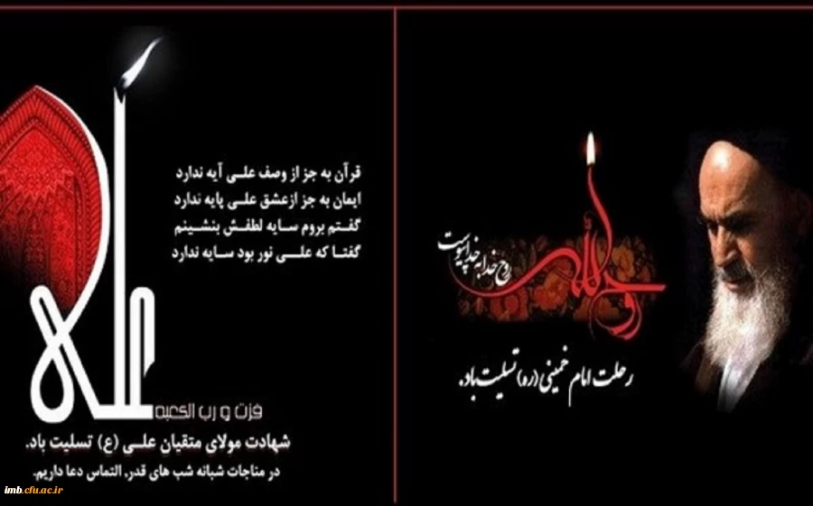 شهادت امام علی (ع) 2