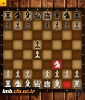 اولین دوره مسابقات شطرنج برخط (آنلاین) دانشگاه فرهنگیان 2